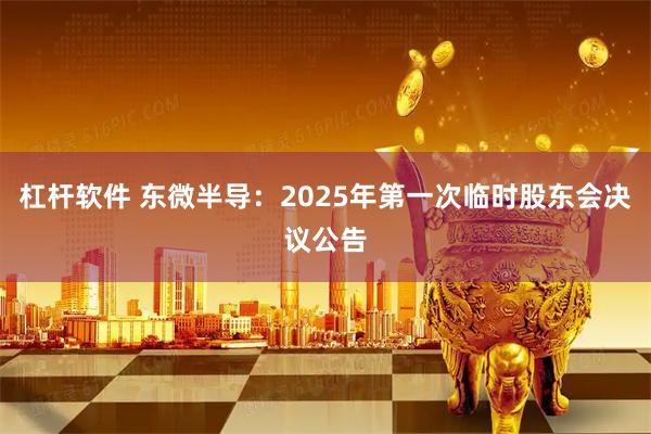 杠杆软件 东微半导：2025年第一次临时股东会决议公告