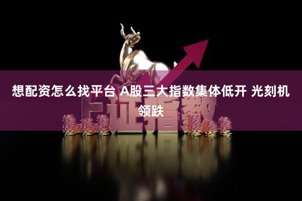 想配资怎么找平台 A股三大指数集体低开 光刻机领跌